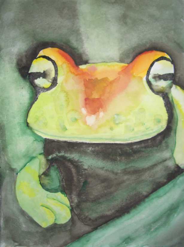 Froggy Frog (Aquarell)