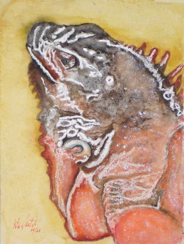 Hermana Iguana (Aquarell)